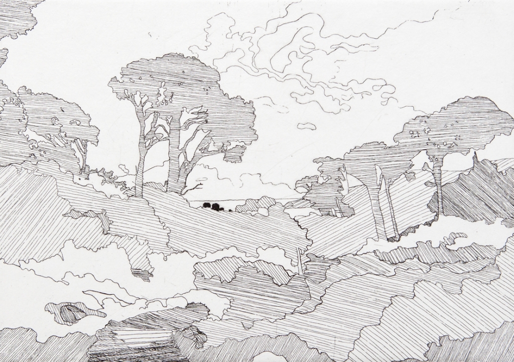 Forest Texture